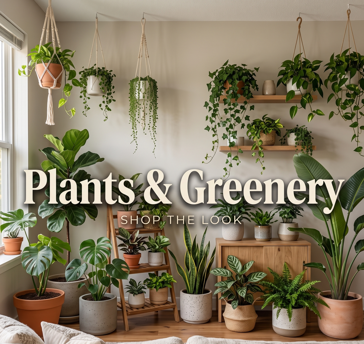 Plants & Greenery