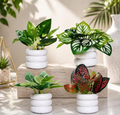 Artificial Plants  (Pack of 4)